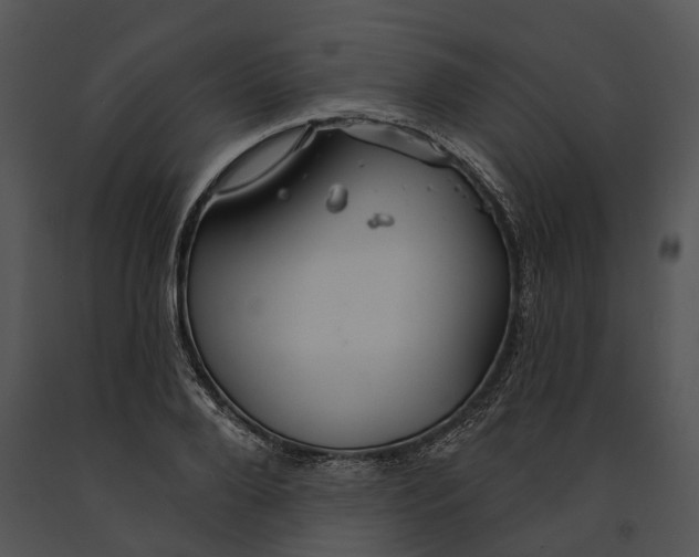 X0000091190888200708301235