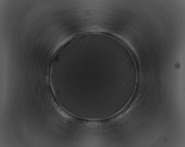 X0000091190889200708301235