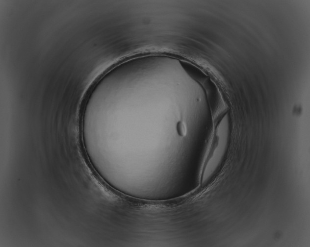 X0000091190894200708301235