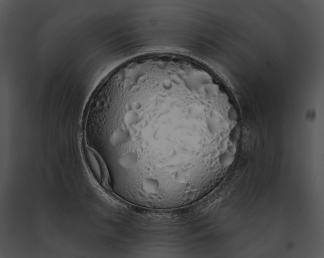 X0000091190895200708301235