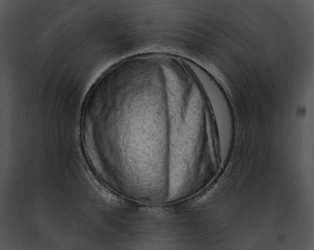 X0000091190896200708301235