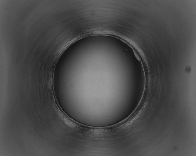 X0000091190897200708301235