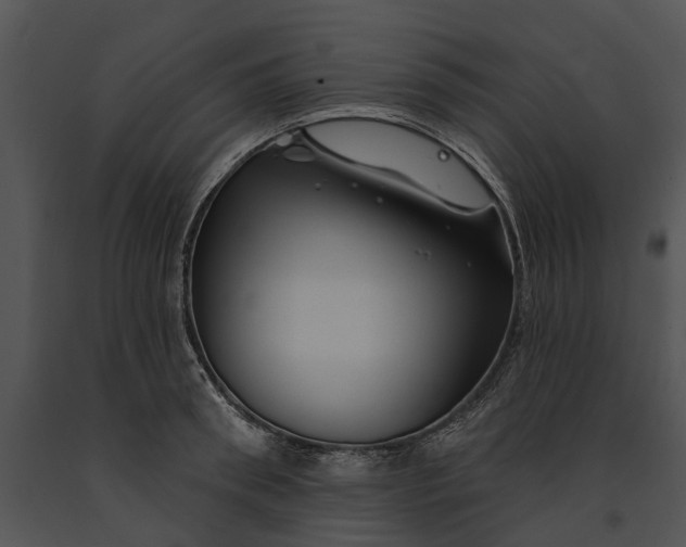 X0000091190898200708301235