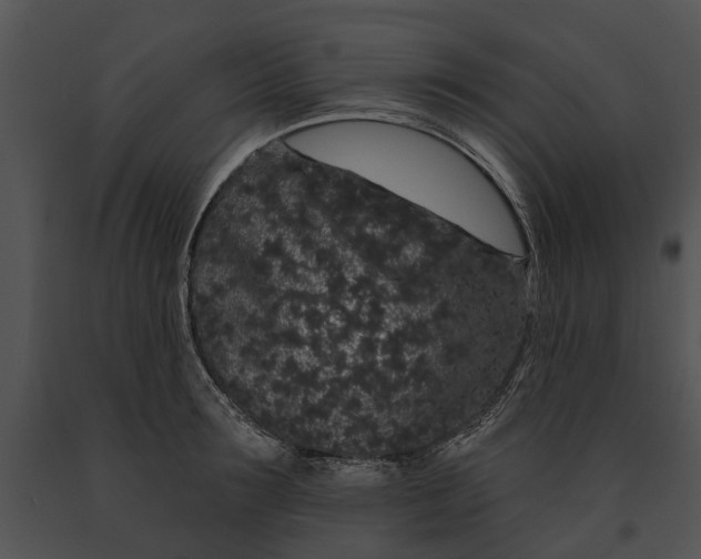 X0000091190899200708301235