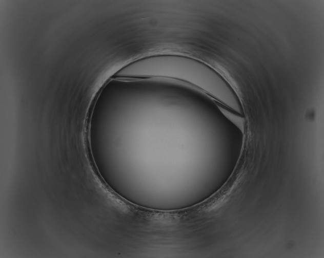 X0000091190901200708301235