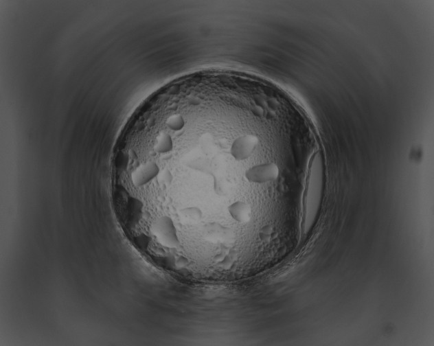 X0000091190903200708301235