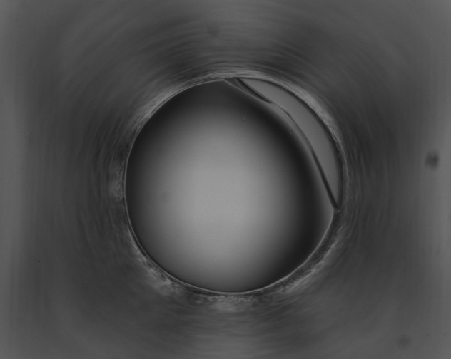 X0000091190905200708301235