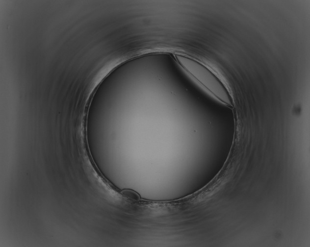 X0000091190906200708301235