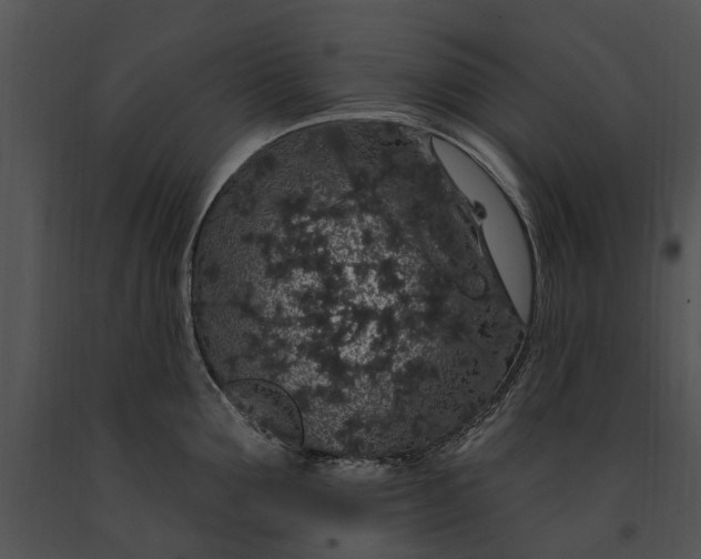 X0000091190907200708301235