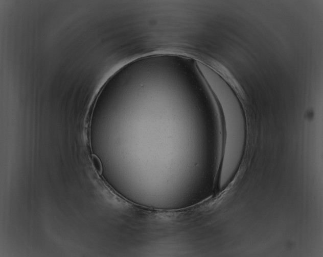 X0000091190908200708301235