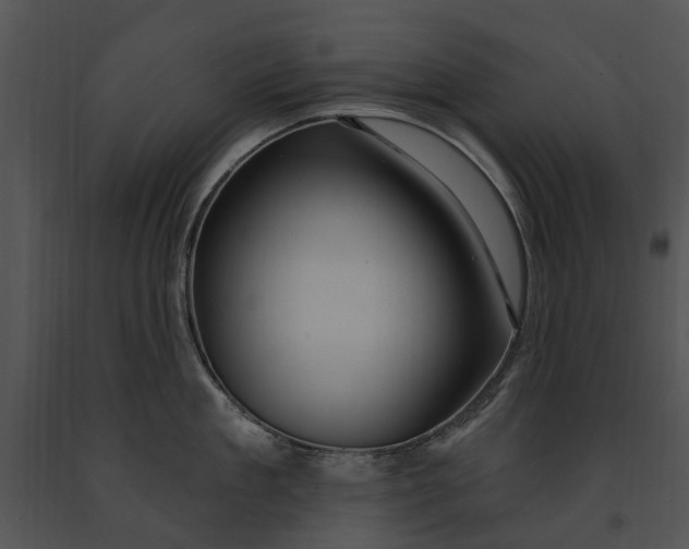 X0000091190909200708301235