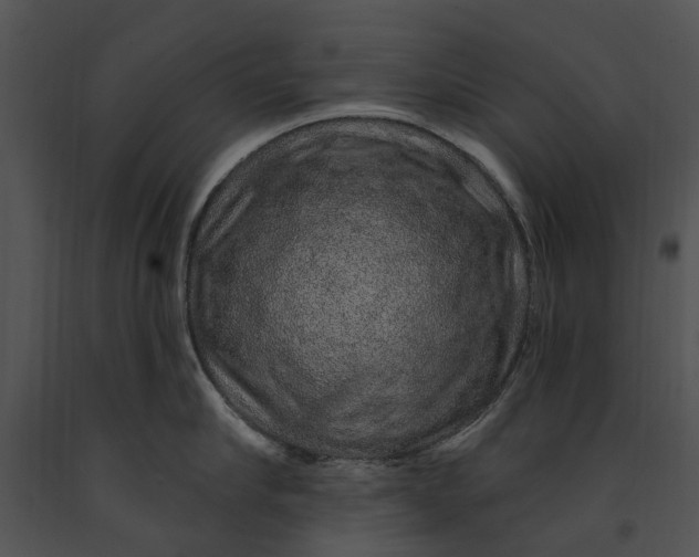 X0000091190910200708301235