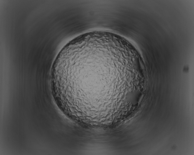 X0000091190911200708301235