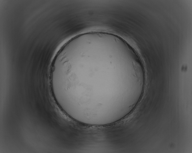 X0000091190912200708301235