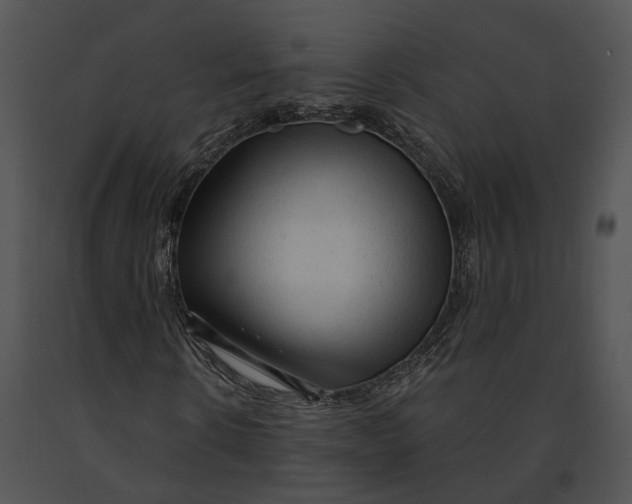 X0000091190914200708301234