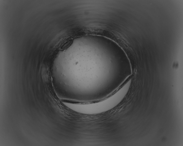 X0000091190915200708301234