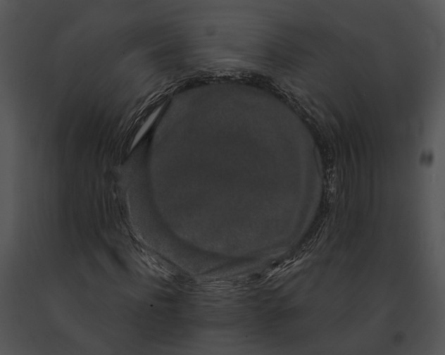 X0000091190916200708301234