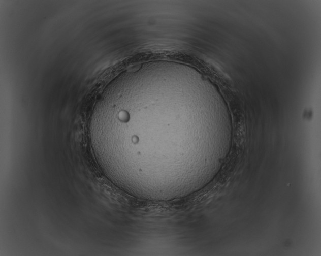 X0000091190917200708301234