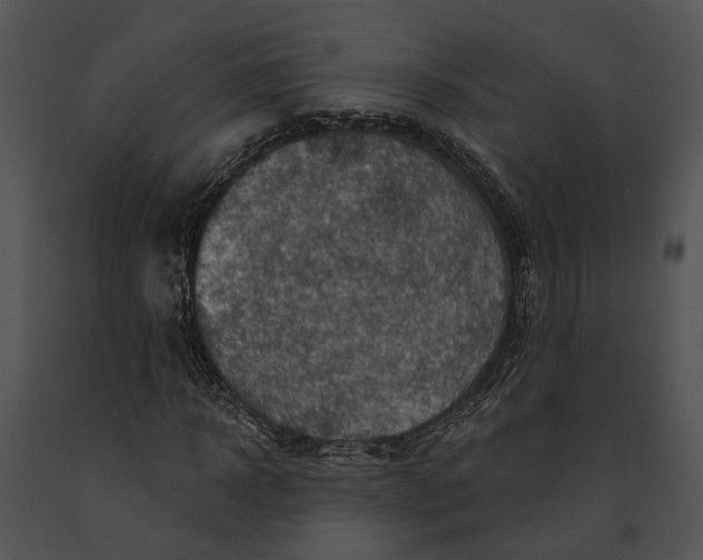 X0000091190918200708301234