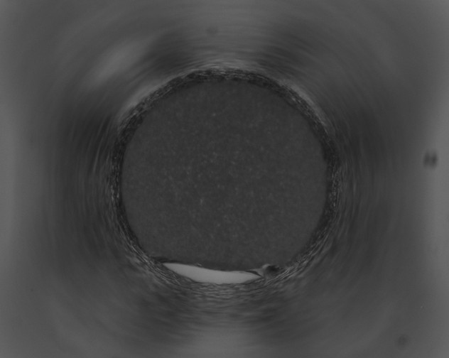 X0000091190919200708301234