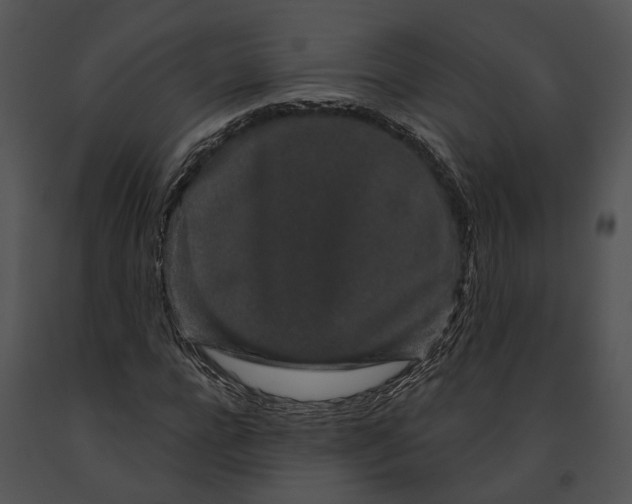 X0000091190920200708301234