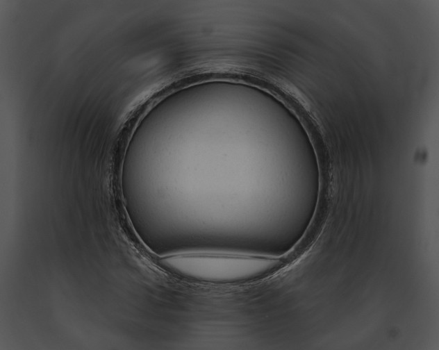 X0000091190922200708301234