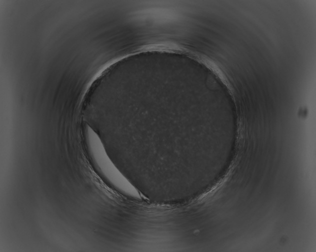 X0000091190923200708301234