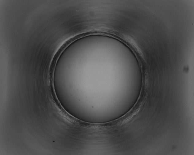 X0000091190924200708301234