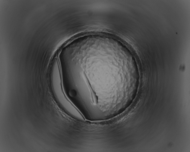 X0000091190925200708301234