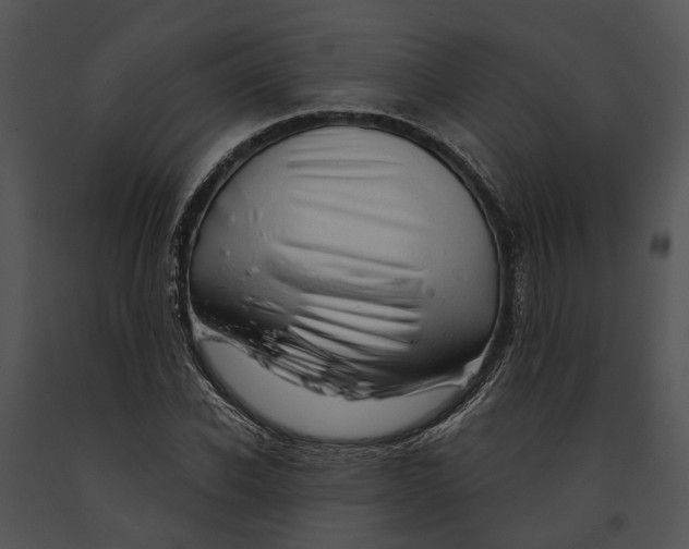 X0000091190926200708301234