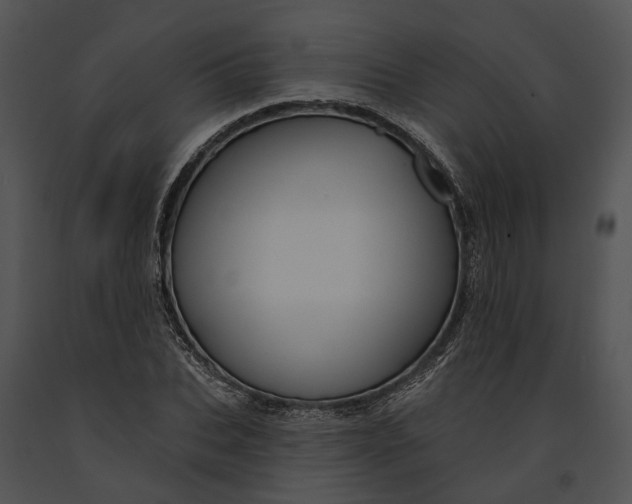 X0000091190927200708301234