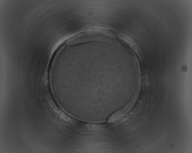 X0000091190928200708301234