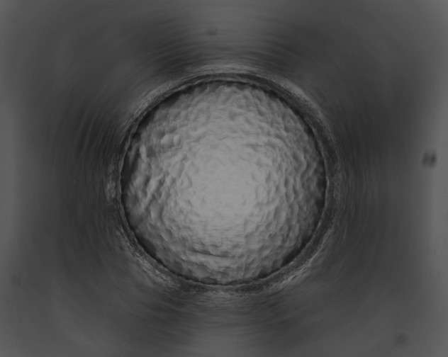 X0000091190929200708301234