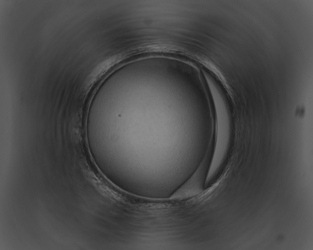 X0000091190930200708301234