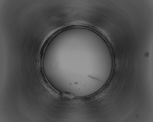 X0000091190931200708301234