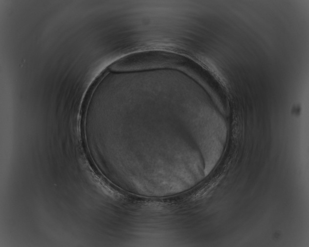 X0000091190932200708301234