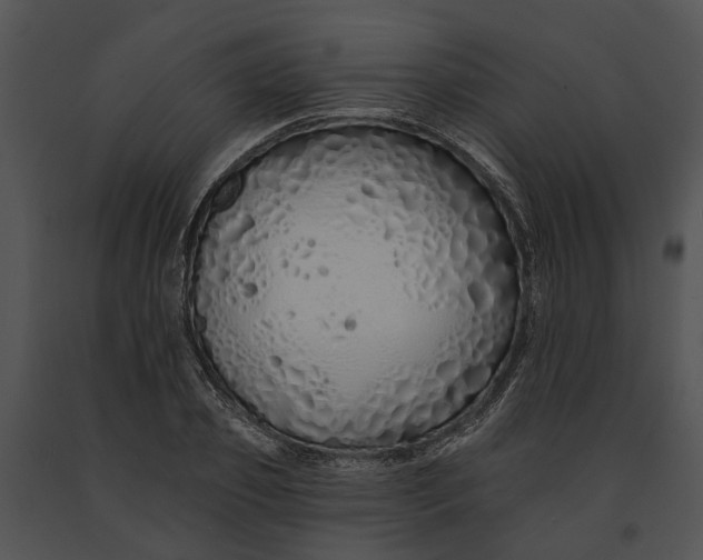 X0000091190933200708301234