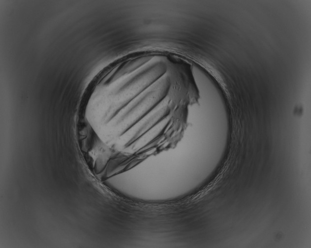 X0000091190936200708301234