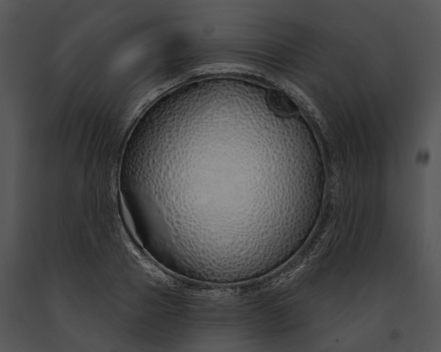 X0000091190937200708301234