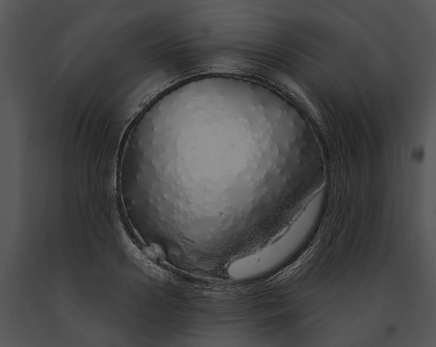 X0000091190938200708301234