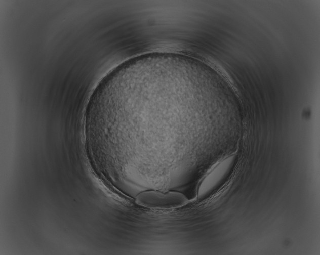 X0000091190939200708301234