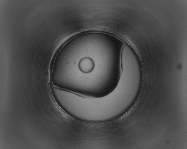 X0000091190940200708301234