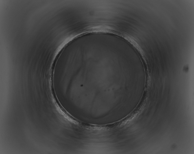 X0000091190941200708301234