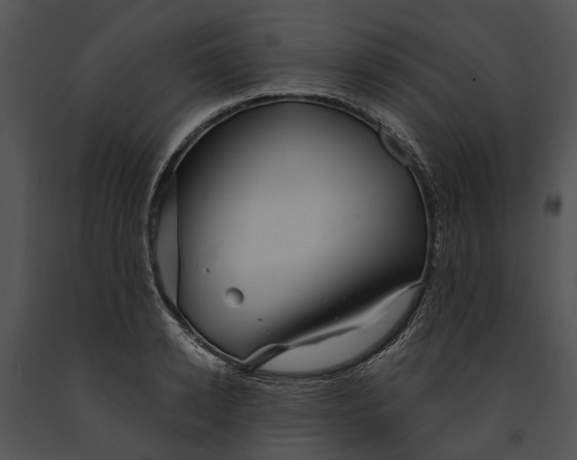 X0000091190942200708301234