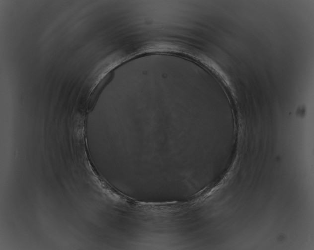 X0000091190945200708301234