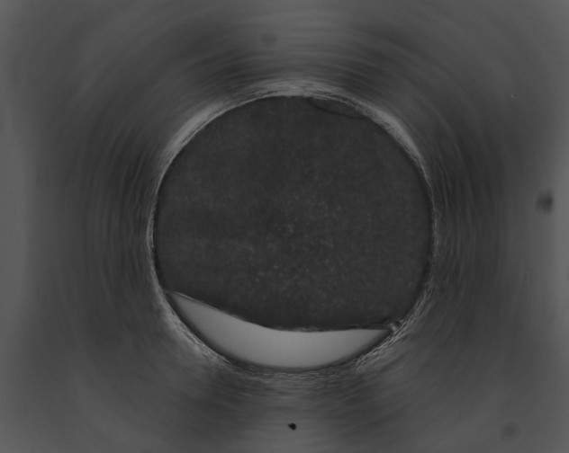 X0000091190946200708301234