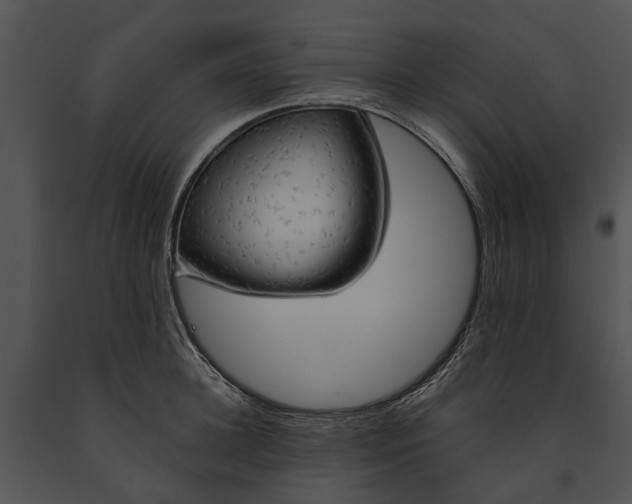 X0000091190948200708301234