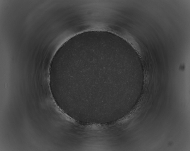 X0000091190950200708301234