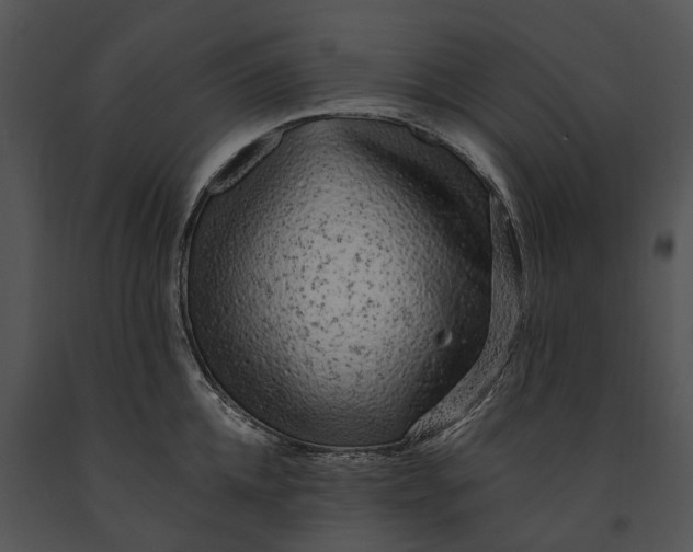 X0000091190952200708301234