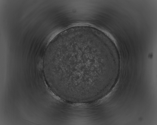 X0000091190953200708301234